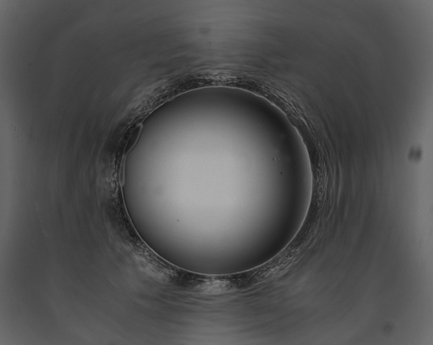 X0000091180609200708231530