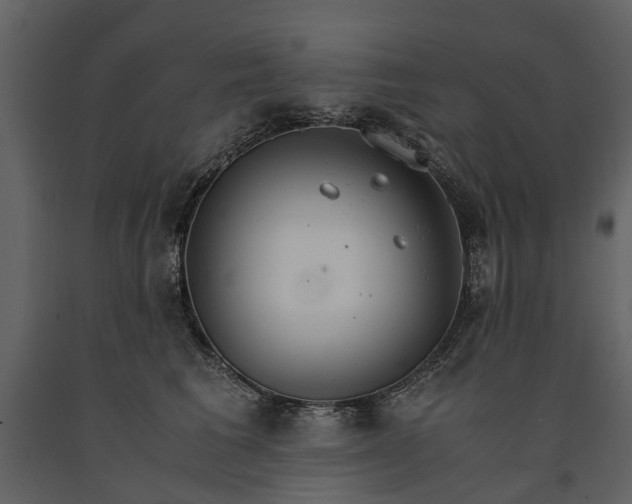 X0000091180613200708231530