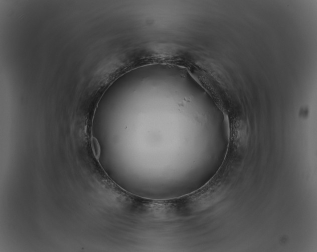 X0000091180615200708231530