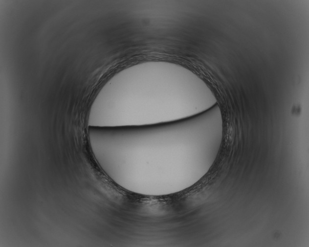 X0000091180616200708231530