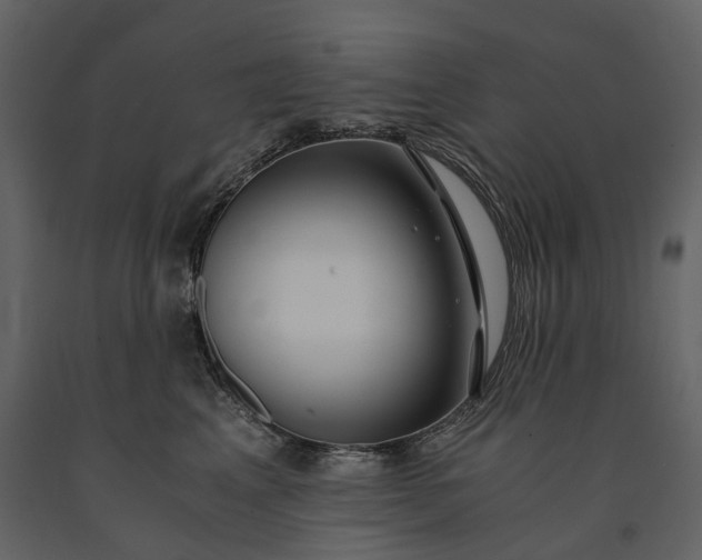 X0000091180617200708231530