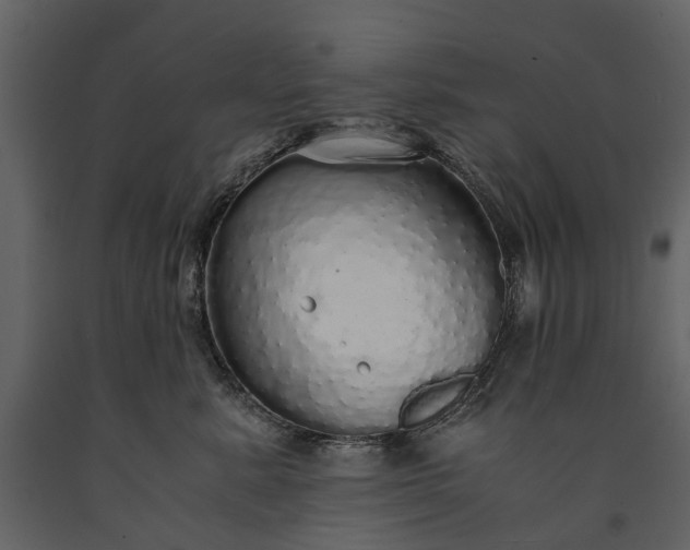 X0000091180619200708231530