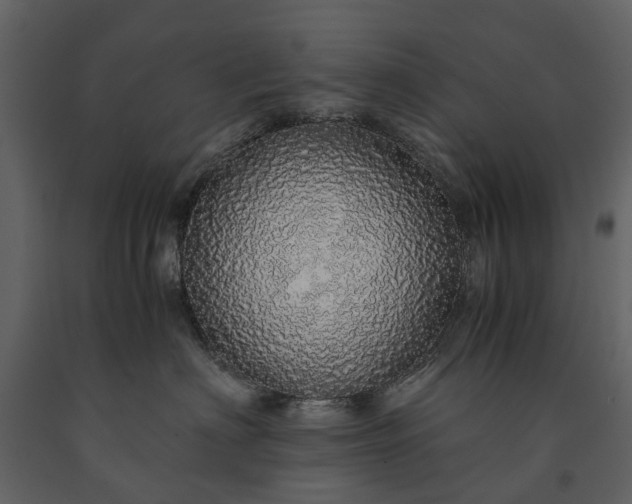 X0000091180622200708231530