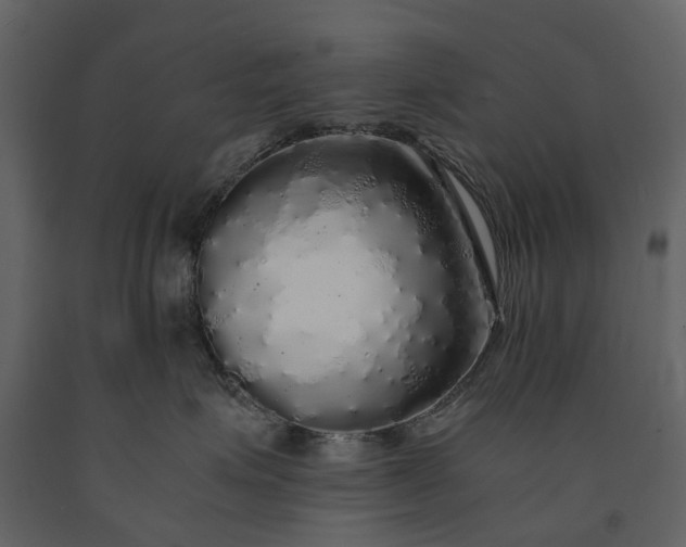 X0000091180623200708231530