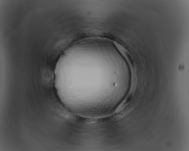 X0000091180624200708231530