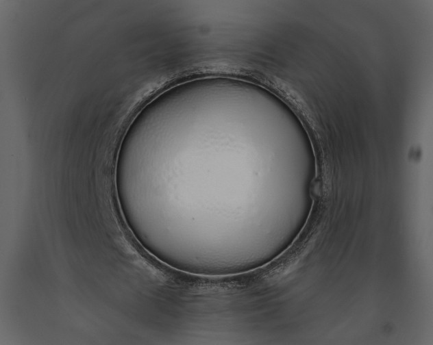 X0000091180625200708231530