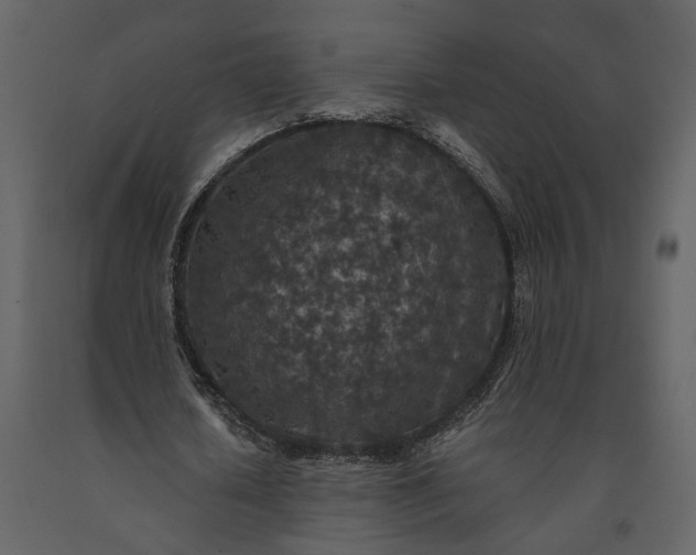 X0000091180626200708231530