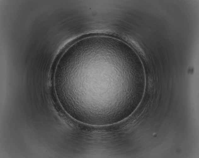 X0000091180628200708231530