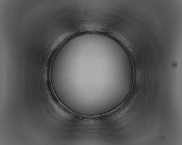 X0000091180629200708231530