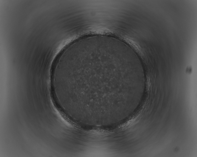 X0000091180630200708231530
