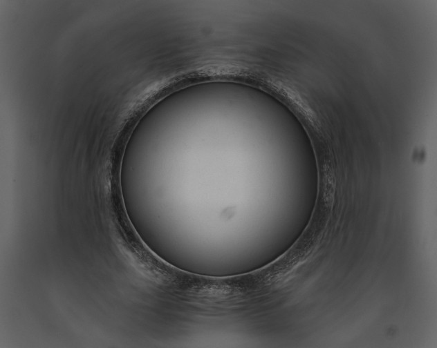 X0000091180631200708231530