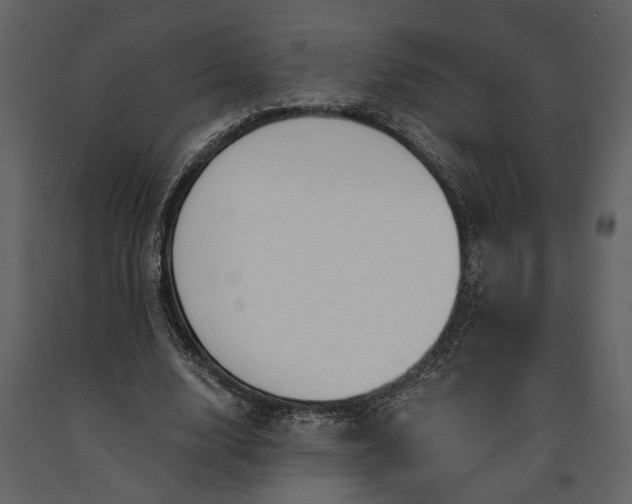 X0000091180632200708231530