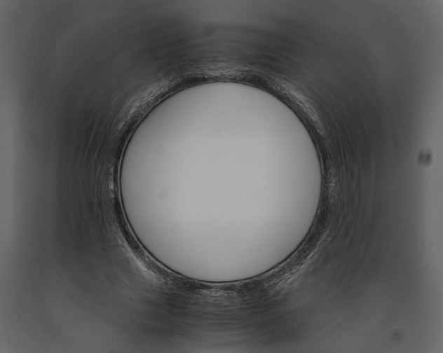 X0000091180633200708231530