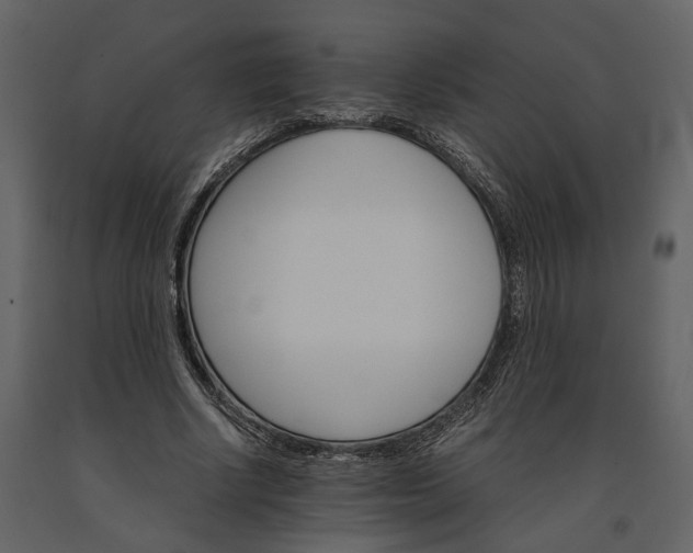 X0000091180634200708231530