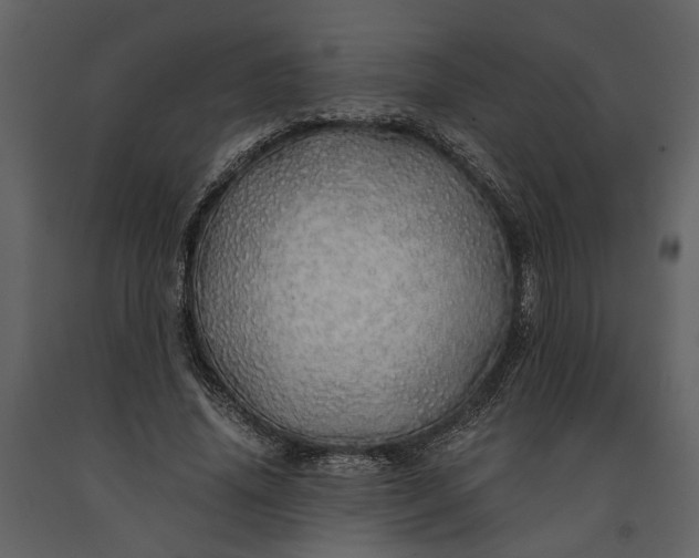 X0000091180636200708231530