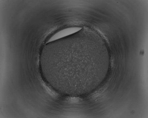 X0000091180637200708231530