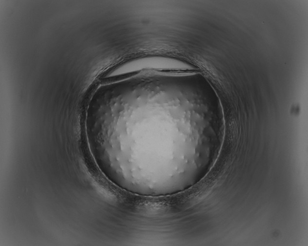 X0000091180638200708231530