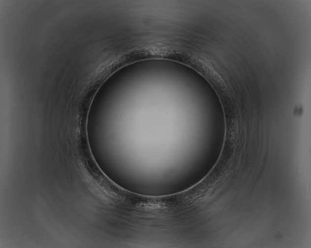 X0000091180639200708231530