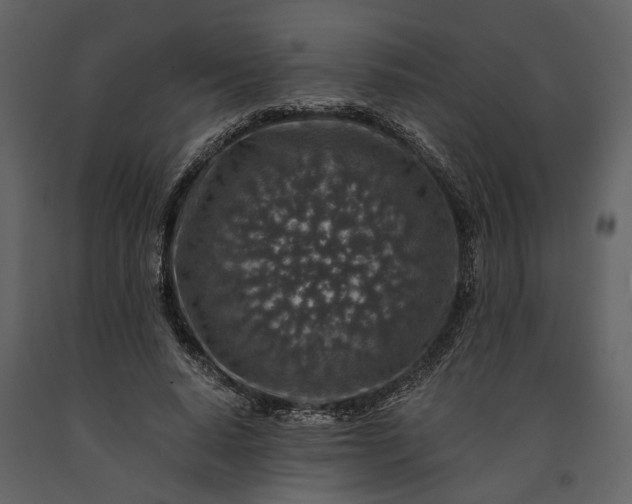 X0000091180640200708231530