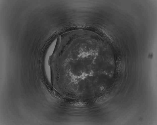 X0000091180643200708231530