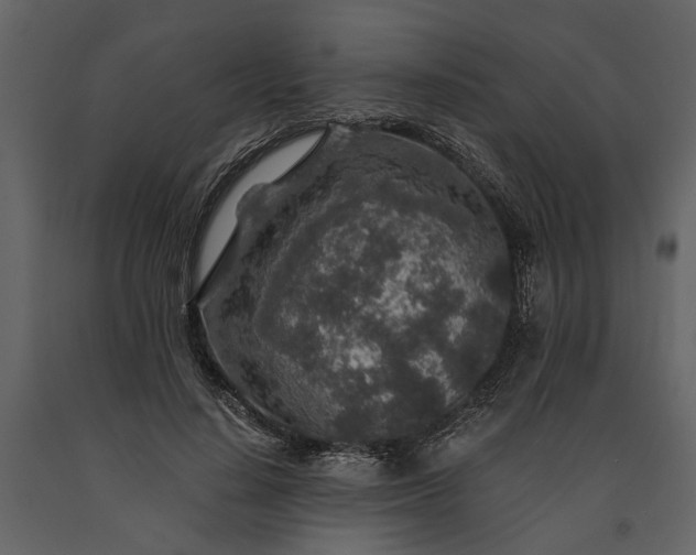 X0000091180644200708231530