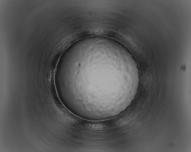 X0000091180645200708231530