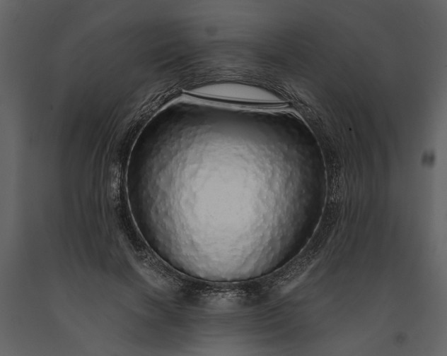X0000091180646200708231530
