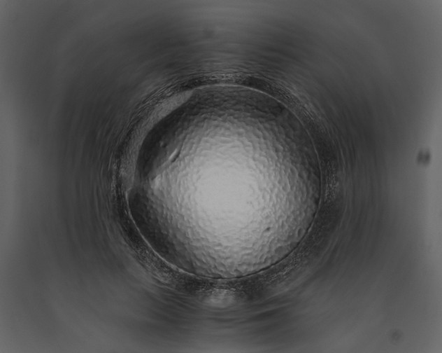 X0000091180647200708231530