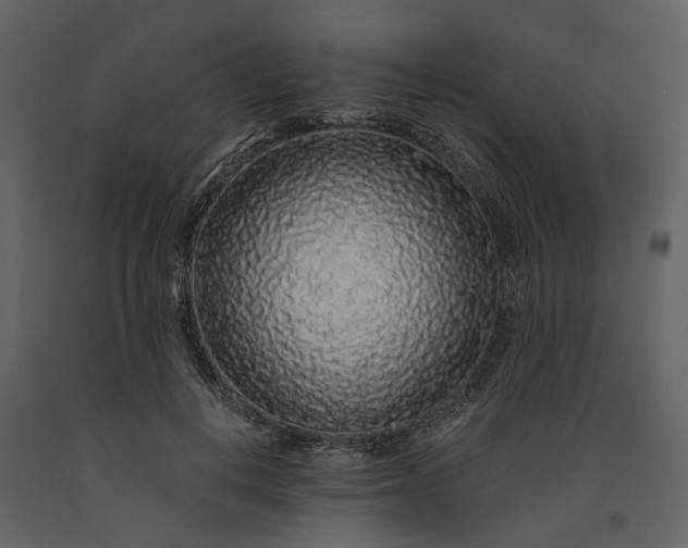 X0000091180648200708231530