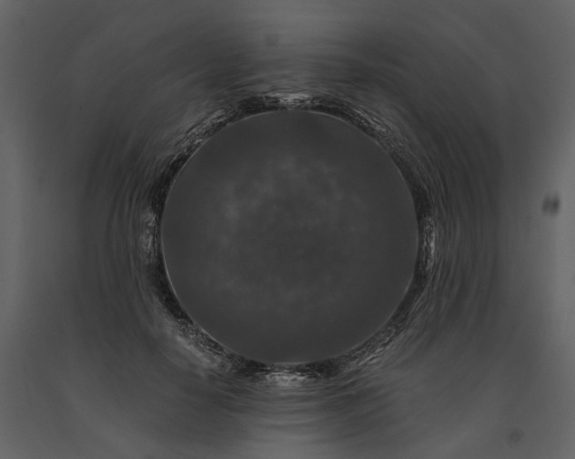 X0000091180650200708231530