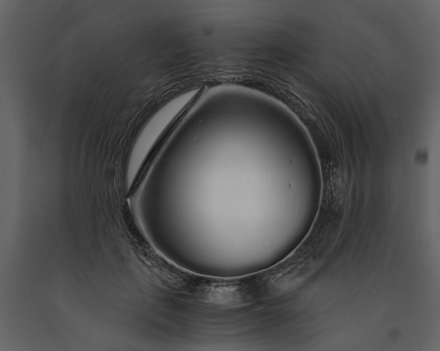 X0000091180651200708231530