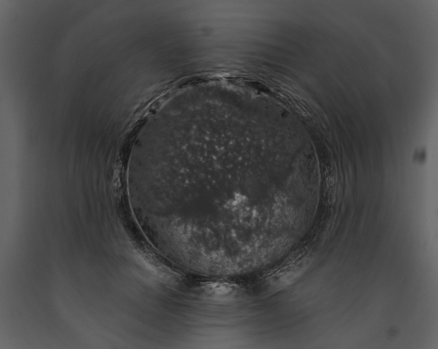 X0000091180654200708231530