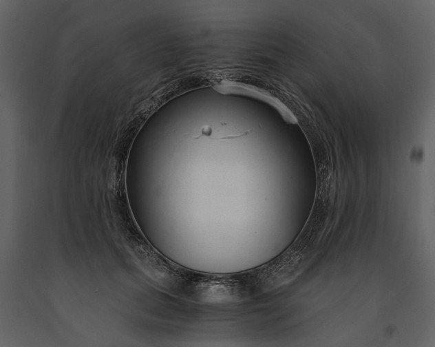 X0000091180655200708231530