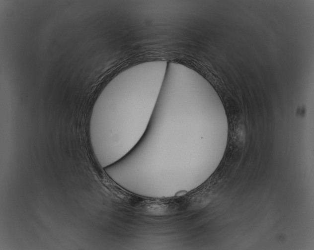 X0000091180658200708231530