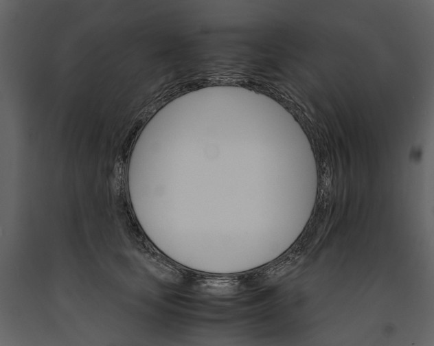 X0000091180659200708231530