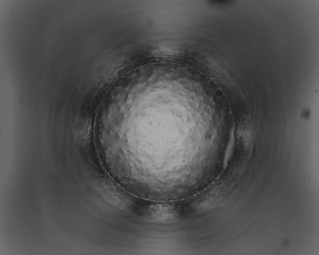 X0000091180660200708231530