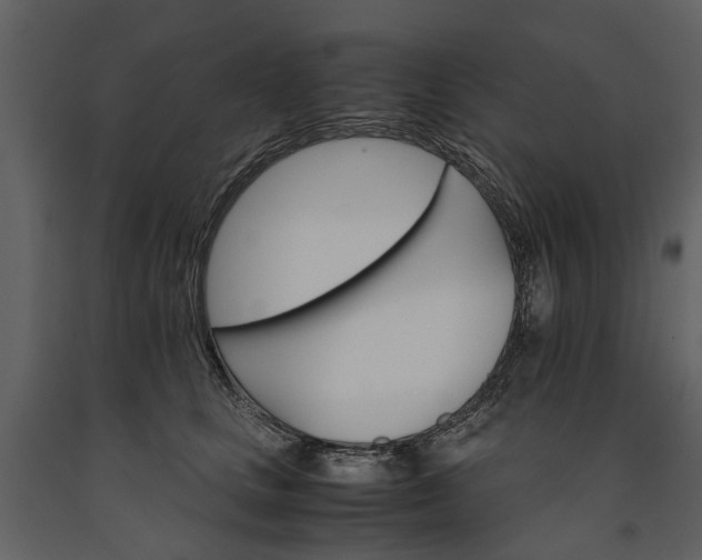 X0000091180661200708231530