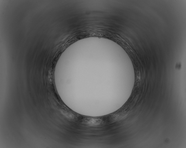 X0000091180663200708231530