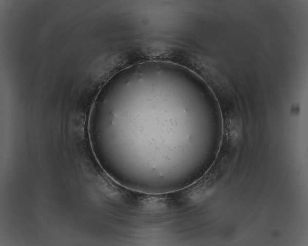 X0000091180664200708231530