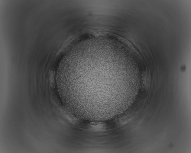 X0000091180667200708231530