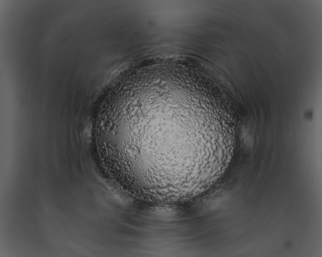 X0000091180668200708231530