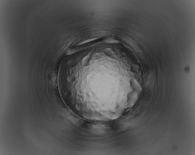 X0000091180669200708231530