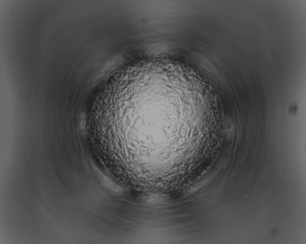 X0000091180670200708231530