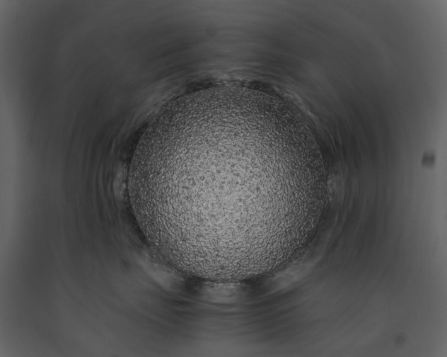 X0000091180671200708231530