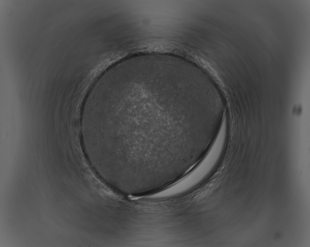 X0000091180673200708231529