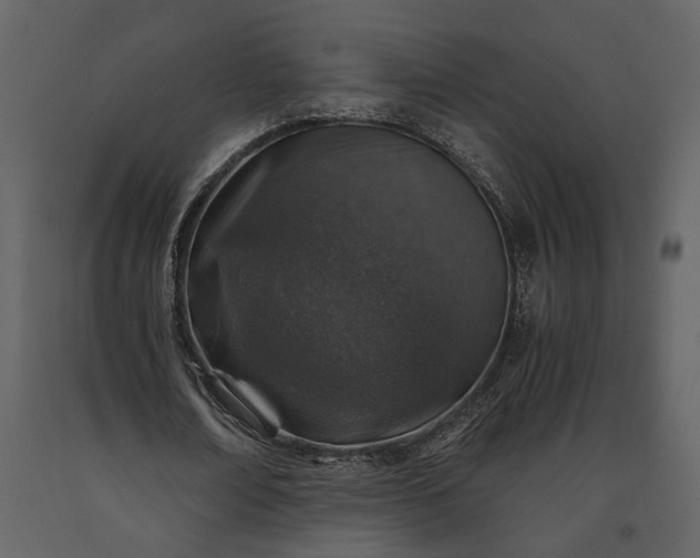 X0000091180674200708231529