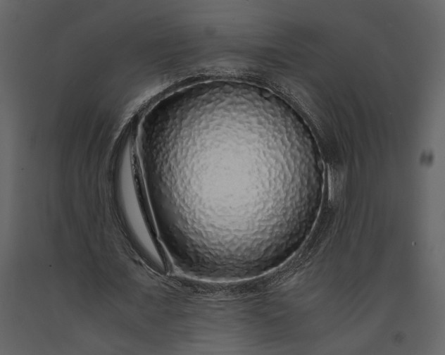 X0000091180675200708231529