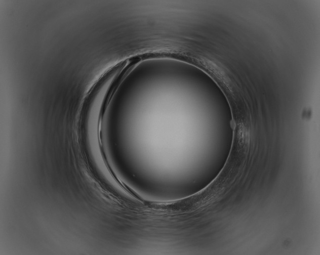 X0000091180676200708231529