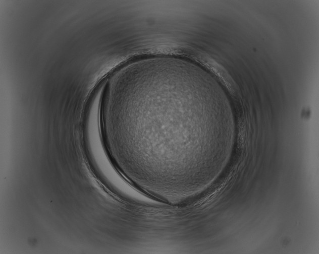 X0000091180677200708231529