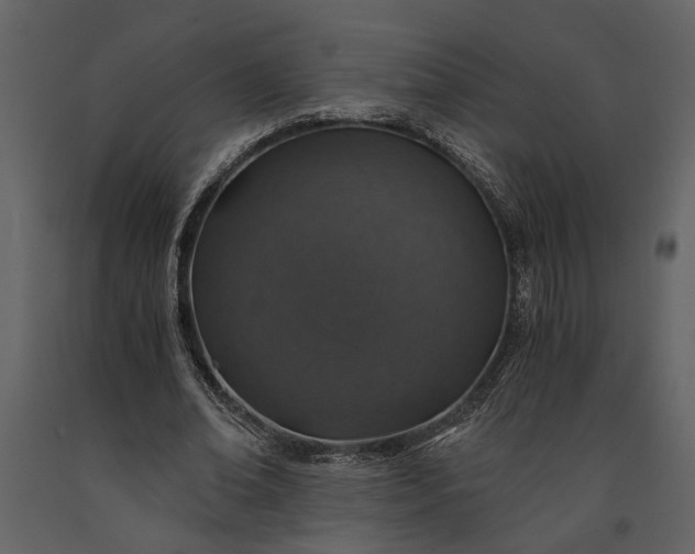 X0000091180678200708231529